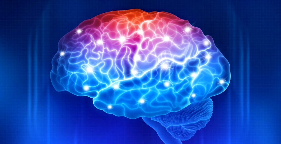 Cum reduci riscul de demență? Pune-ți creierul la contribuție!