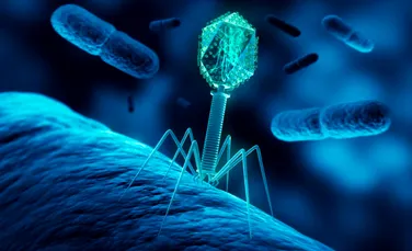 Virusurile își ascultă reciproc conversațiile și uneori primesc informații false