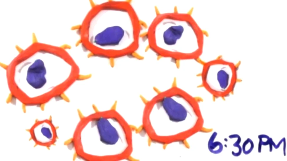 Istoria animată a vieţii pe Terra, „comprimată” într-o singură zi (VIDEO)