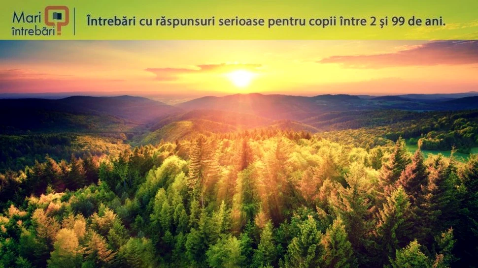 Cât de diferit ar fi fost Pământul dacă oamenii moderni nu ar fi existat niciodată?