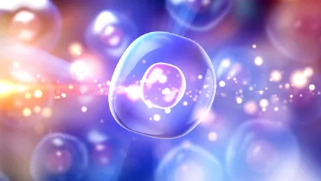 O sursă de energie ascunsă ar fi fost descoperită în jurul celulelor noastre