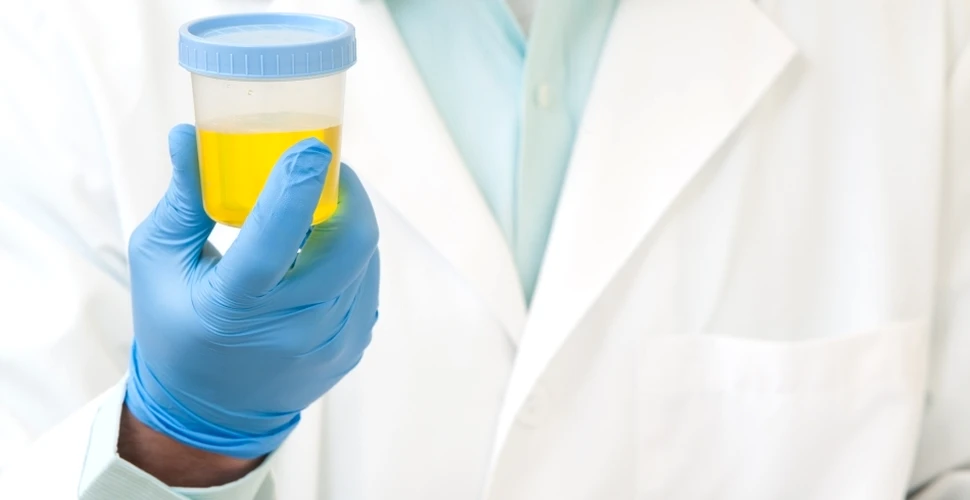 UE oferă 3 milioane de euro pentru un studiu privind recuperarea substanţelor utile din urină