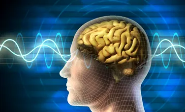 Conform unui nou studiu, creierul poate fi antrenat pentru a evita condiţii precum dislexia