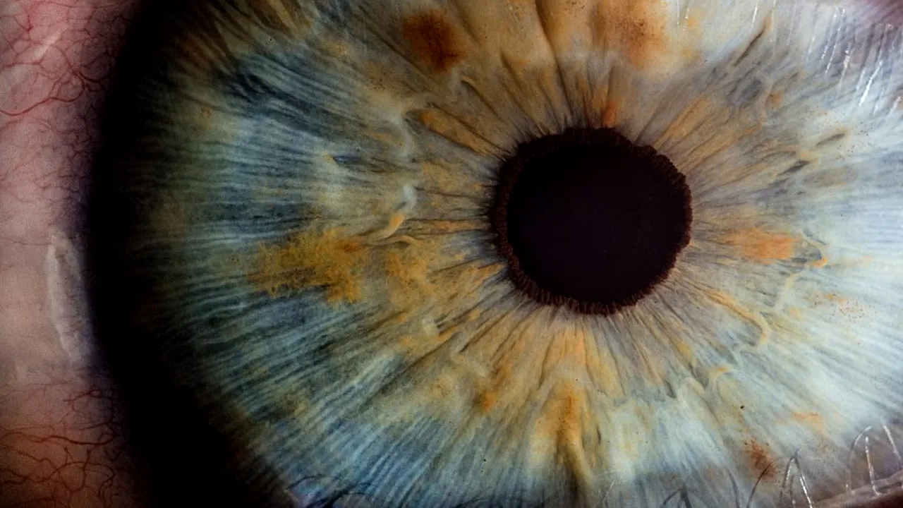 ochi-vedere-terapie-gene-unsplash_Descopera 