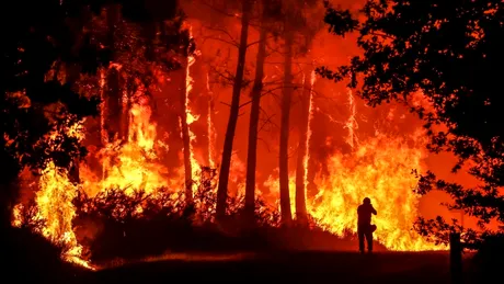 Incendiile de vegetație au devastat sud-vestul Franței