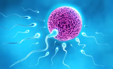 Sperma, unul dintre factorii avorturilor repetate