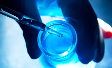 O singură doză de celule stem ar putea trata fragilitatea asociată îmbătrânirii, arată un studiu