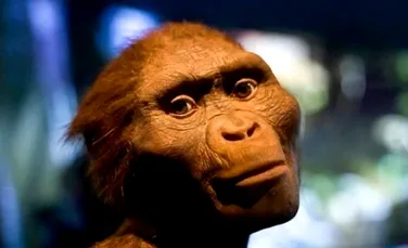Există posibilitatea ca Lucy să nu fi fost singura specie de hominizi care a trăit în Africa, în urmă cu peste 3 milioane de ani – VIDEO