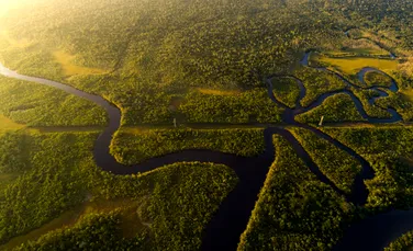 De ce nu există niciun pod peste Amazon, al doilea cel mai mare fluviu al lumii?