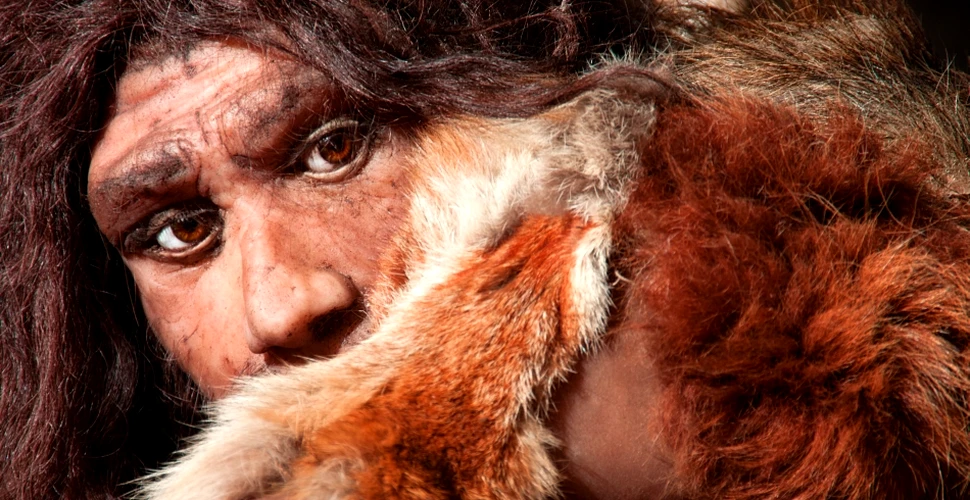 Adevărata paleo-dietă: ce delicatesă consumau strămoşii europenilor acum 30.000 de ani?