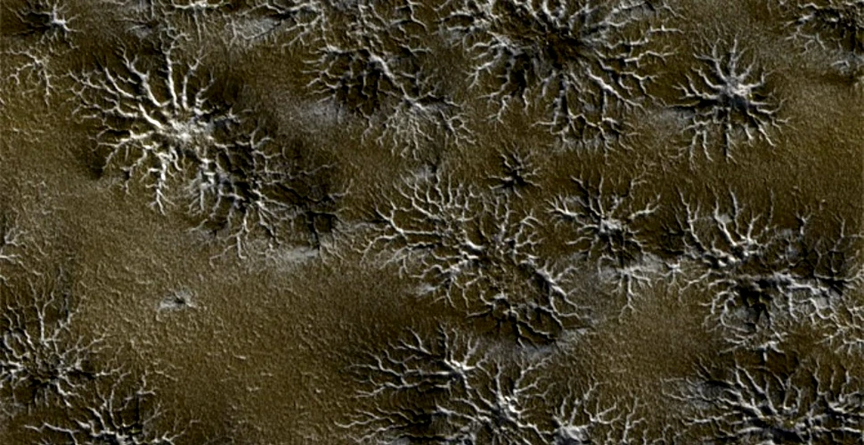 “Păianjenii” de pe Marte: ce sunt aceste bizare formaţiuni care nu seamănă cu nimic din ceea ce există pe Terra?