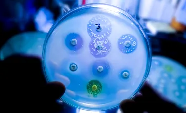 Un antibiotic din anii 1940, arma secretă împotriva superbacteriilor