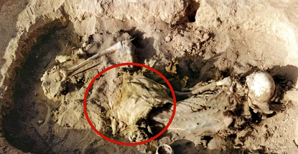 Cea mai veche șa din piele, găsită în mormântul unei femei din China