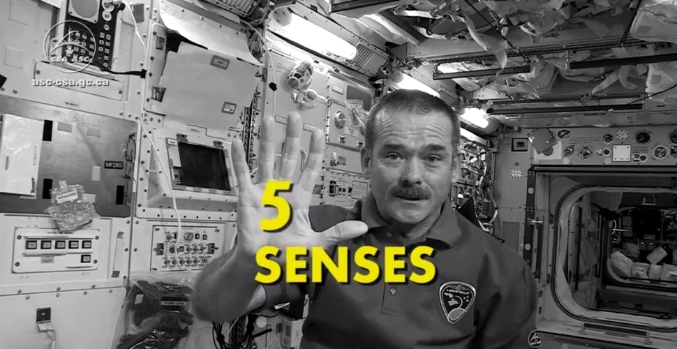 Cum te-ai simţi pe ISS: ce se întâmplă cu simţurile noastre în spaţiu?