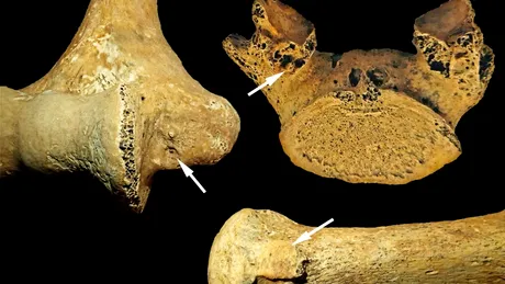 O femeie din Epoca de Piatră a fost înmormântată asemenea unui bărbat. Care a fost motivul?