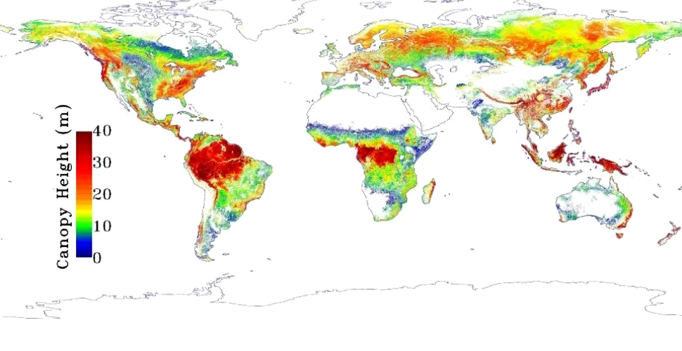 NASA a realizat harta detaliată a pădurilor de pe Terra
