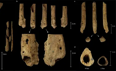 Cea mai veche amputație din lume, găsită la un schelet din Neolitic