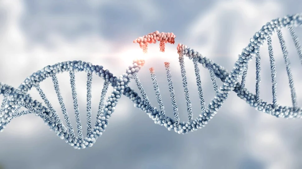 ADN-ul poate fi construit într-un mod nemaivăzut până acum, arată un nou studiu