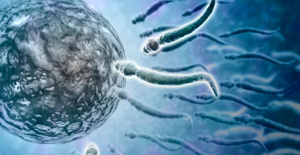 Un bărbat care are deja cel puțin 550 de copii nu mai are voie să doneze spermă