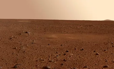 Două studii arată că unele organisme de pe Terra pot supravieţui pe Marte