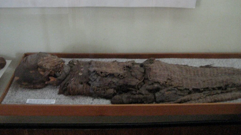 De ce mumiile preistorice din deșertul Atacama aveau creierul foarte mic?