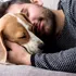 Câinii anxioși au o activitate cerebrală similară oamenilor anxioși