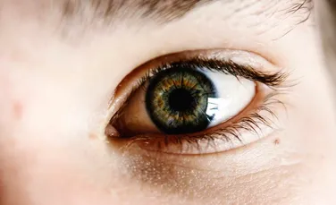Au fost creaţi în laborator ”mini-ochi” ce pot arăta cum se dezvoltă percepţia culorilor