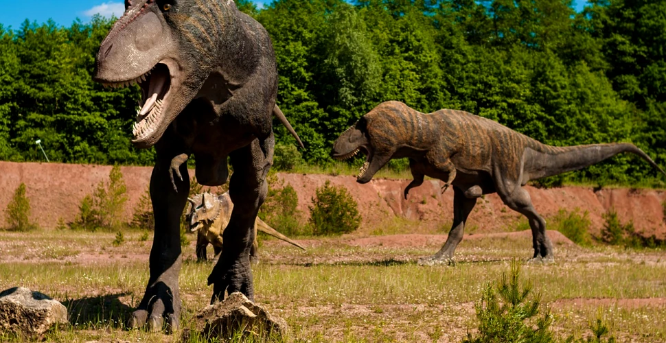 Am putea readuce la viaţa una dintre speciile de dinozaur?