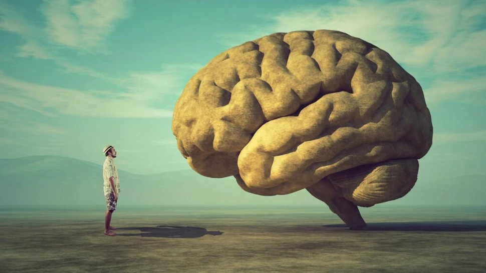 Unii oameni au creierul mai „încrețit” decât alții, iar cercetătorii au aflat de ce