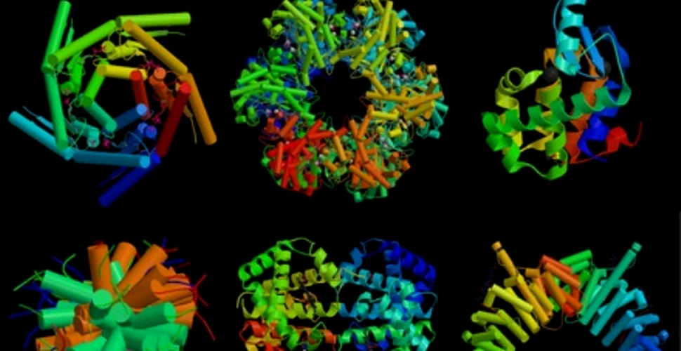 Primele proteine artificiale au fost create