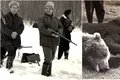 Masacrul de la Bistrița. Ziua în care Nicolae Ceaușescu a împușcat 24 de urși