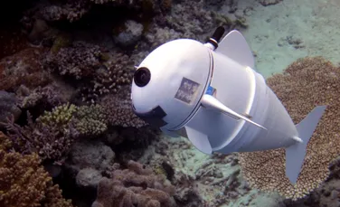 SoFi, peştele-robot ce va monitoriza viaţa peştilor din oceane