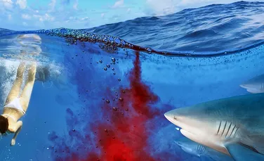 Costumul de baie anti-rechin – inovaţia unei companii australiene (FOTO)