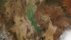 De ce atât de multe fosile ale strămoșilor noștri au fost găsite în Africa de Est?