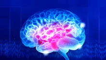 Oamenii de știință au inversat anxietatea prin repararea unui mic circuit cerebral