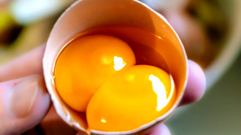 Test de cultură generală. De ce unele ouă au două gălbenușuri?