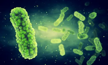 O bacterie misterioasă a dezvoltat o capacitate unică. „Este o capodoperă a naturii”