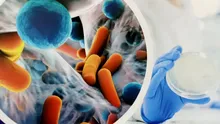 Avertismentul cercetătorilor: Rezistența la antibiotice se va agrava până în 2035