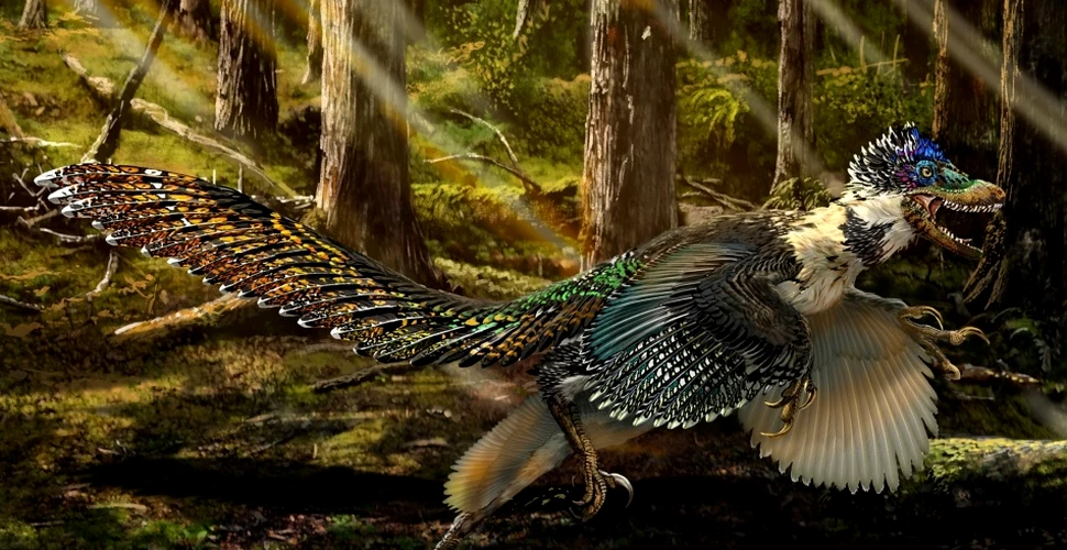 Fosila unui mare dinozaur cu pene, descoperită în China