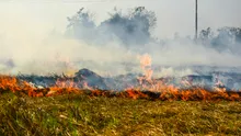 Încălzirea globală va expune miliarde de oameni la temperaturi fără precedent