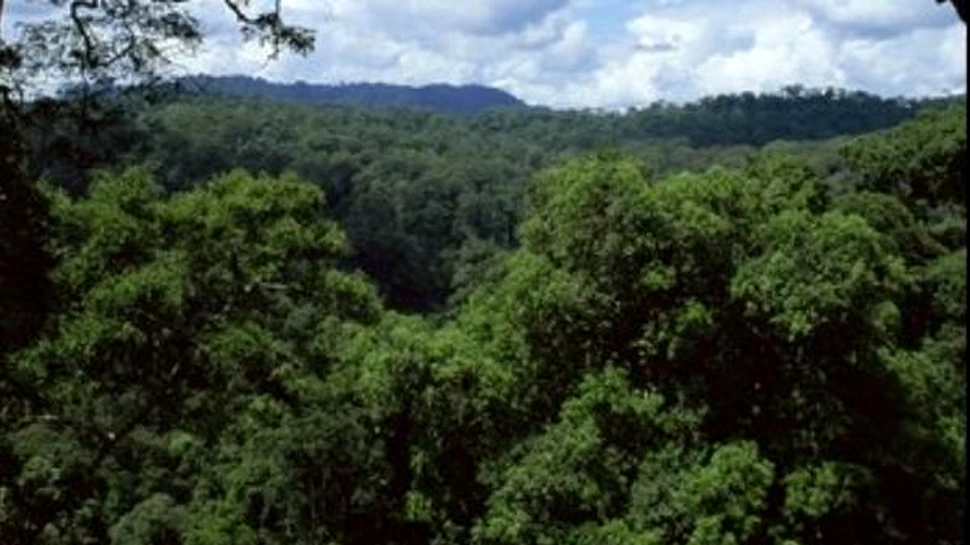Evolutia este accelerata de incalzirea globala