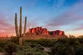 Noi specii din Triasicul târziu, scoase la lumină în statul american Arizona