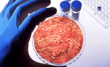 Carne de porc din celule stem