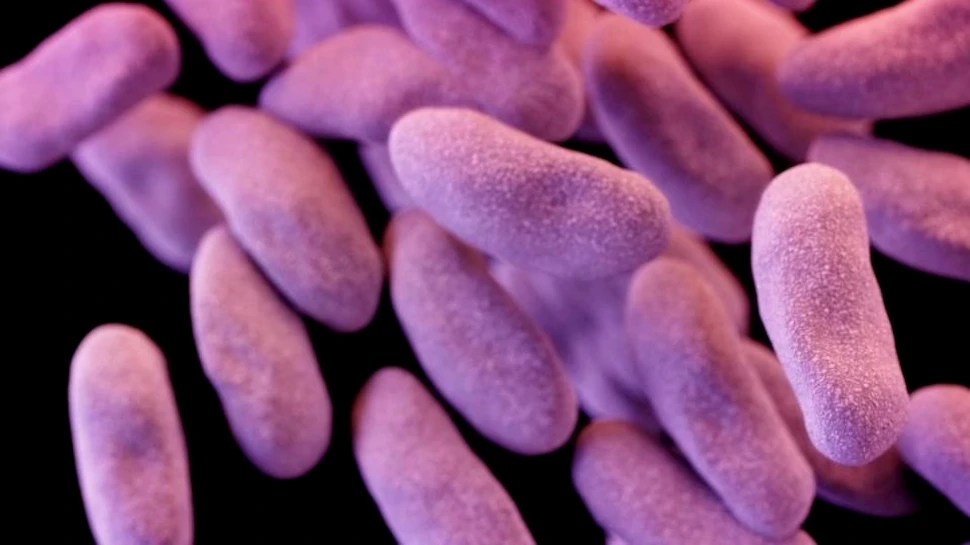 ”Bacteria de coşmar” se răspândeşte în spitalele din Statele Unite. Niciun antibiotic nu are efect asupra ei şi este greu de detectat