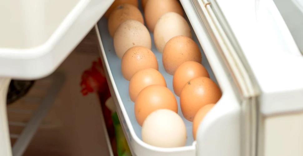 De ce ouăle nu trebuie ţinute pe uşa frigiderului