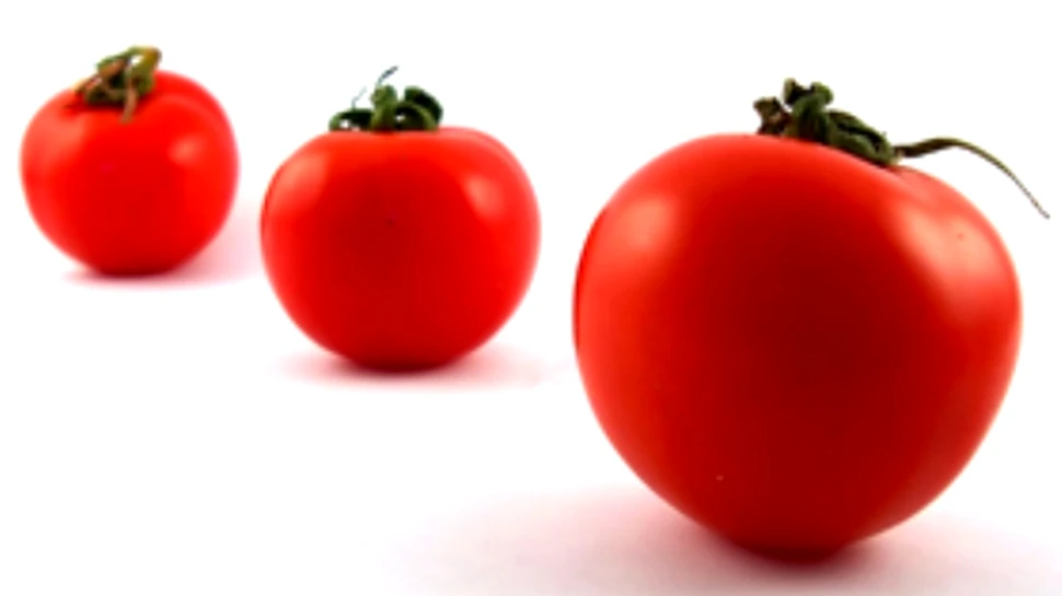 A fost identificata o noua gena responsabila de marimea rosiilor