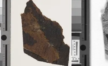 Fragmente ale manuscriselor de la Marea Moartă despre care se credea că sunt goale ascund bucați de text