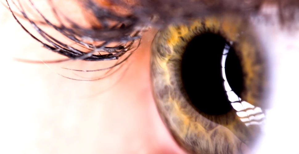 Surpriză pentru anatomişti: a fost descoperită o nouă componentă a ochiului uman