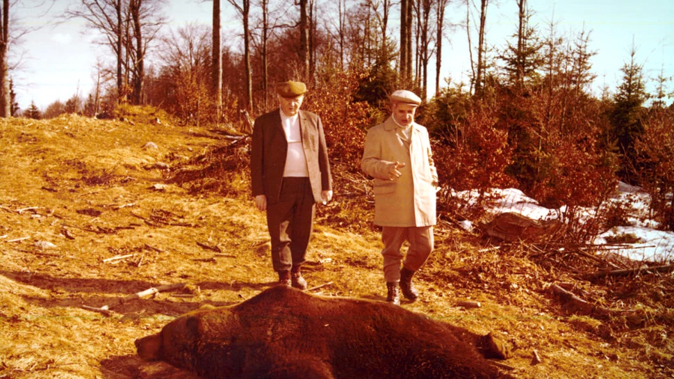 Masacrul din Cușma: capriciile de vânător ale lui Ceaușescu