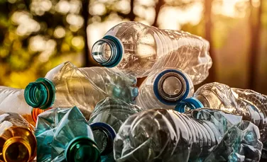 Doar în luna aprilie, românii au reciclat sute de milioane de PET-uri